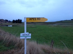 Apes Road - Karitane