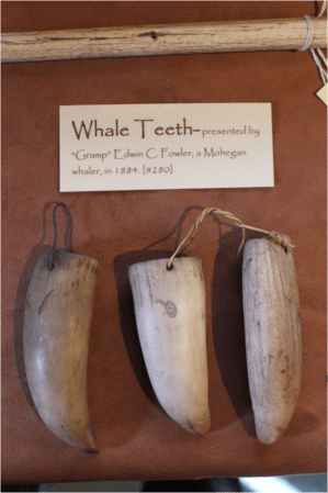 (From the collections of the Tantaquidgeon Indian Museum, Uncasville, CT)