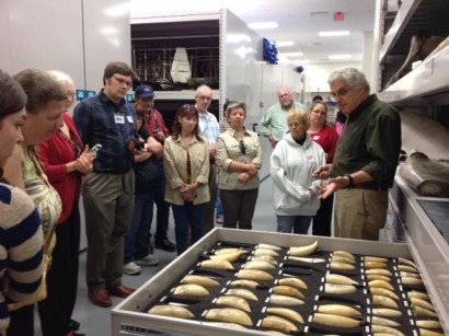 Mohegan Elders and cultural dept - Mystic Seaport collections