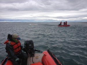 seal trapping at Five Mile Island