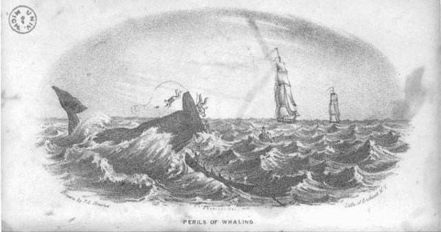 09 - Perils of whaling