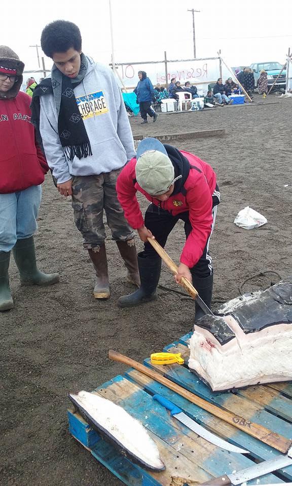 10462881_715338198578578_7877220581801797174_n