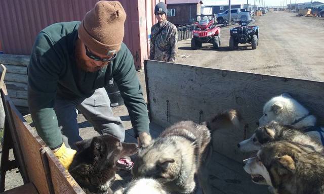 10501762_715718361873895_674678179323233893_n