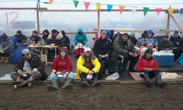 11665543_715336045245460_1986721130672374843_n