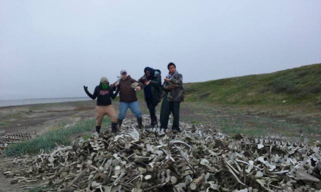 11692762_717034025075662_2381289874392069638_n