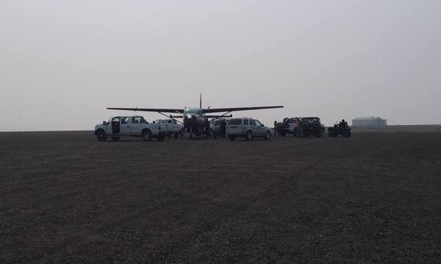 11693851_719897788122619_312320836486553429_n